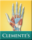 Icon: Clemente's Anatomy Flash Cards (ModalityBody)